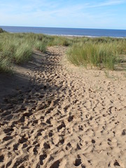 Dune path to beach in Devon