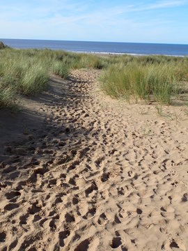 Dune path to beach in Devon