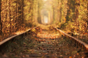 Tunnel of Love. Tunnel of Love in Ukraine. A railway in the autumn forest tunnel of love. Old mysterious forest.