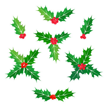Set of elements for design. Variants of Colored Christmas leaves and holly berries. Isolated vector on a white background.