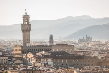 Fototapeta na wymiar Skyline of Florence, tuscany, Italy. Saint Mary in Flower Dome. Basilica di Santa Maria in Fiore