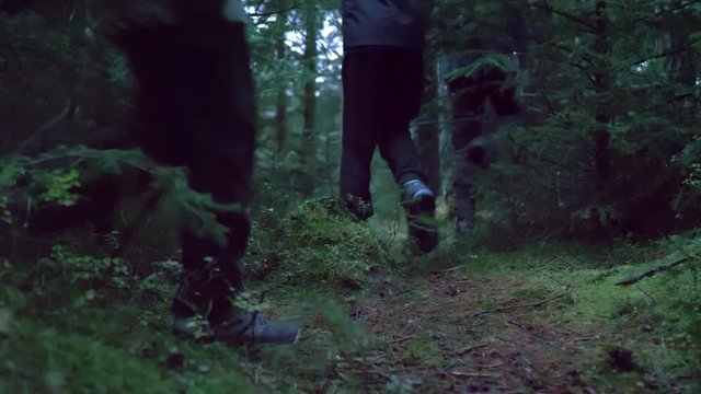 Children's feet walking through woodland wilderness vegetation, chasing, following in group. Lower leg torso view.