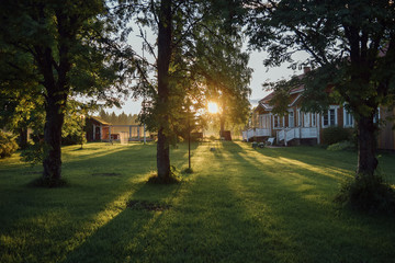Sunny courtyard, trees, beautiful house, lawn and doghouse, summer evening in Multia, Finland