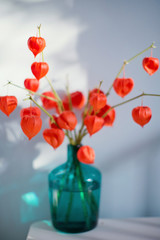 bouquet of physalis in blue glass vase
