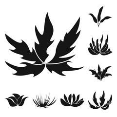 Vector illustration of nature and environment sign. Collection of nature and grass stock symbol for web.