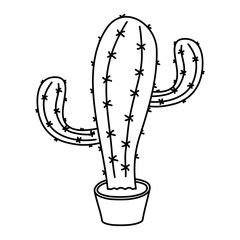 cactus mexican plant isolated icon