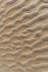Fototapeta na wymiar Struktur im Sand am Strand 