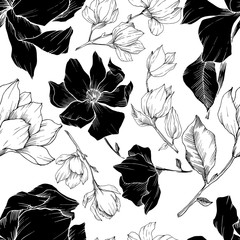 Vector Magnolia floral botanical flowers. Black and white engraved ink art. Seamless background pattern. - 298887821