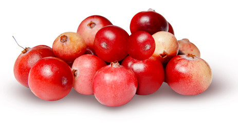 A bunch of fresh cranberries isolated on a white background. Bright saturated color. Clipping path. Macro.