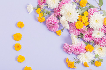 chrysanthemums on violet paper background