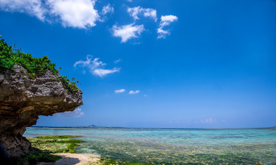 Beach of Ocean Expo Park, Okinawa