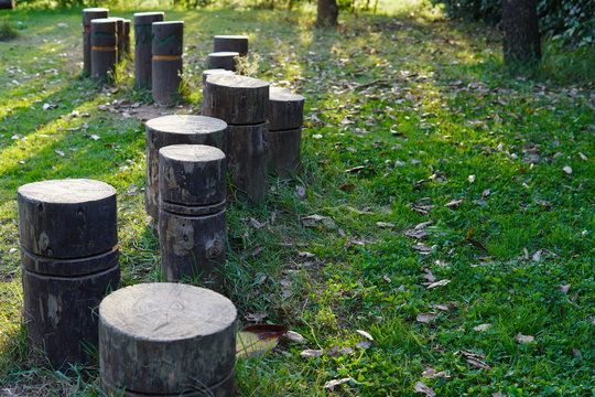 Troncos de madera