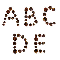 Christmas font made of fir cones