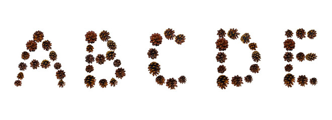 Christmas font made of fir cones