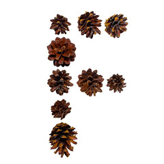 Christmas font made of fir cones