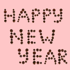 Christmas font made of fir cones