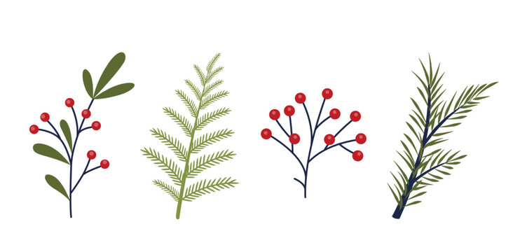 Holiday set of beautiful christmas tree branch, leaves and berries