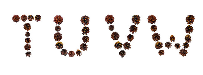 Christmas font made of fir cones