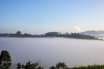 View of mountains covered in foggy during morning sunrise.