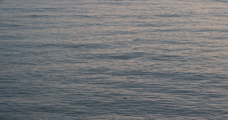 Sunset sea ocean in the evening