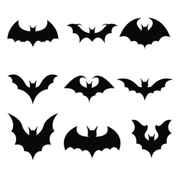 Bat vector design illustration isolated on white background