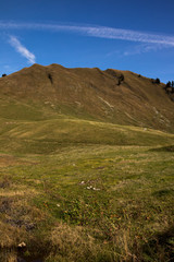 Fototapeta premium Allgäuer Alpen