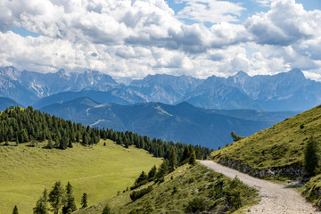 Fototapeta na wymiar Dobratsch nature park, Villach Alps