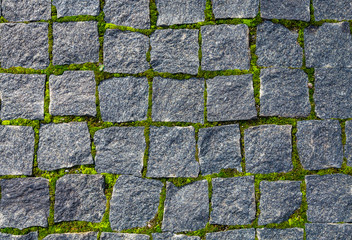 Texture of pedestrian cobblestone pavement with moss in old european town
