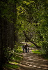 Obraz premium Walk in the Park with a Bicycle