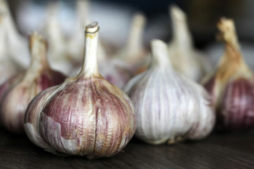 garlic bulbs with garlic cloves