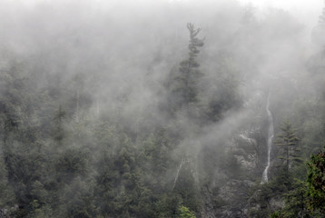 Fototapeta na wymiar Roaring Brook Falls on Foggy Morning