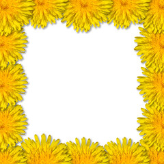 Yellow flowers arranged in a square frame. Floral frame from dandelions. Copy space.