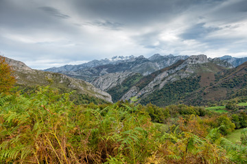 The Picos de Europa National Park