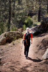 woman doing trekking on the paths of a pine forest on the side of a mountain. Concept trekking