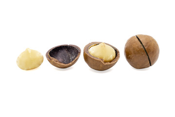 Macadamia nut isolated on white background.