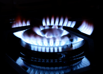 Gas stove. Close up of gas burning. The rise in price of natural gas. Blue gold