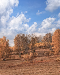 Fototapeta premium Autumn colored scenery with dramatic clouds, Inner Mongolia, China