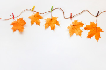Autumn composition. Five orange maple leaves hanging on rope. Copy space for text
