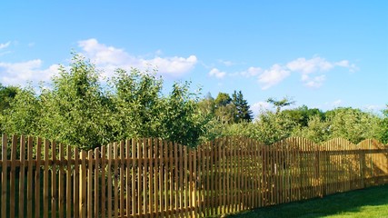  garden with trees surrounded by a wooden fence