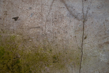 Ruined and cracked old concrete. Stone surface with green mold. Stone background.