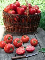  tomatoes in a basket on a green background