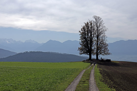 Aussicht von Ballenbühl bei Worb,, Berner Alpen, Schweiz