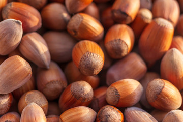 Dried Hazelnuts organic closeup background