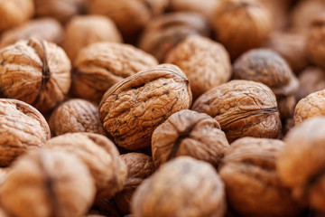 freshly harvested organic walnuts background