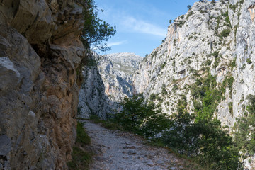 Fototapeta na wymiar Road of Cares on the mountain pass through the Picos de Europa