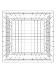 perspective view of a wireframe grid room