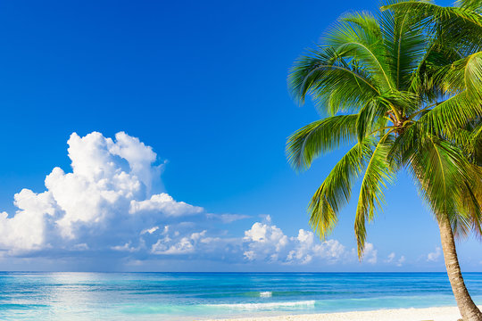 paradise tropical beach