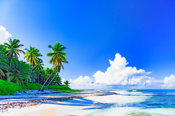 Naklejka na ściany i meble paradise tropical beach
