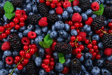 Blackberry, raspberry, blueberry,  red currant and mint background.