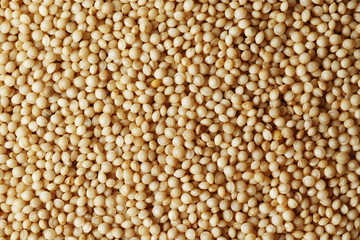 Amaranth closeup as background